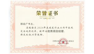 2024年度优秀项目经理